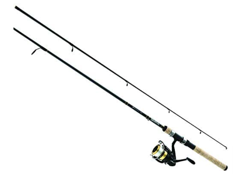 Gear: Two rods and reels to set you up for catching catfish, carp
