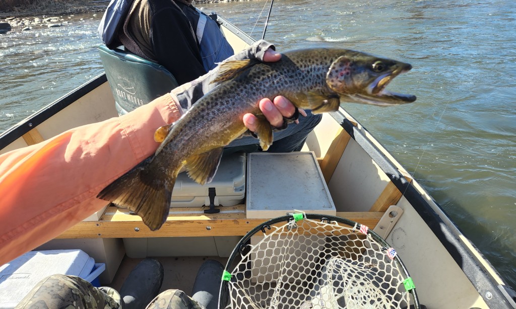 https://kosarfishing.wordpress.com/wp-content/uploads/2022/03/roaring-fork-river-kosar-trout-a-03-2022.jpg?w=1024