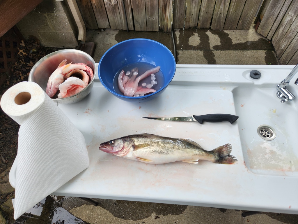 https://kosarfishing.wordpress.com/wp-content/uploads/2023/08/kosar-avocahome-fish-cleaning-table-2.jpg?w=1024